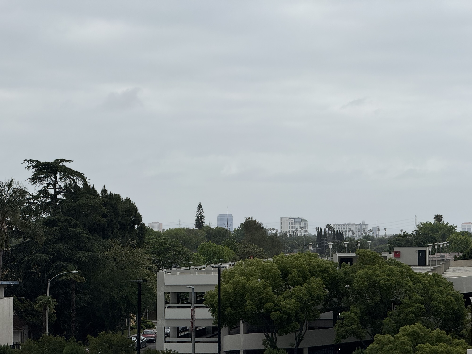Chiguagua