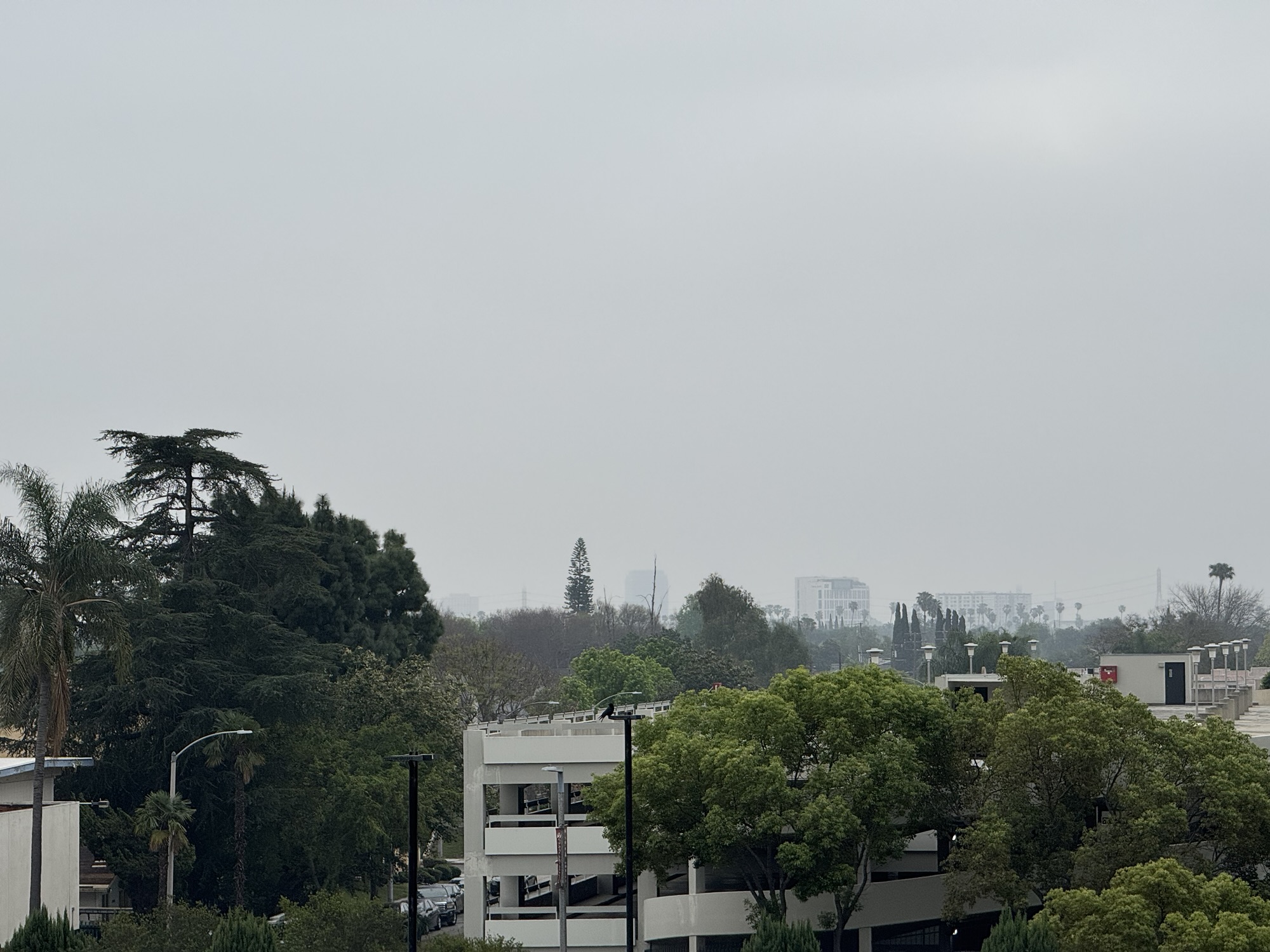 Jublongabomgajongadong